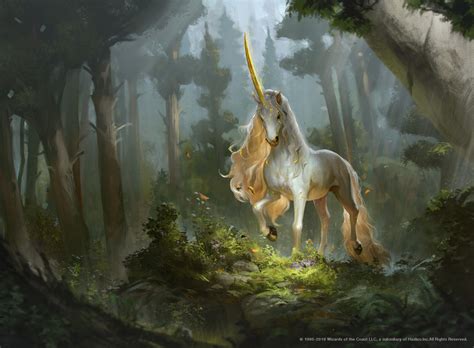 Unicorn Magic and the Power of Belief